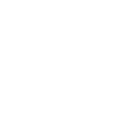 ce logo Galveston
