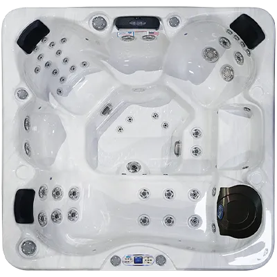 Avalon EC-849L hot tubs for sale in Galveston